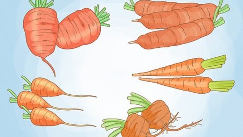 How to Grow Carrots in Pots