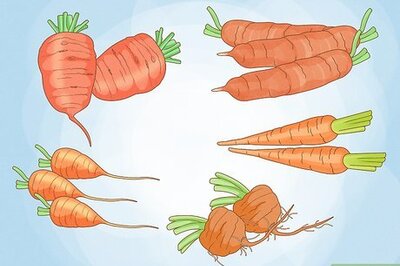 How to Grow Carrots in Pots
