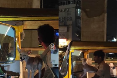 Video Of Bengaluru Auto Driver Taking His Dog For A Ride Is Too Cute To Miss