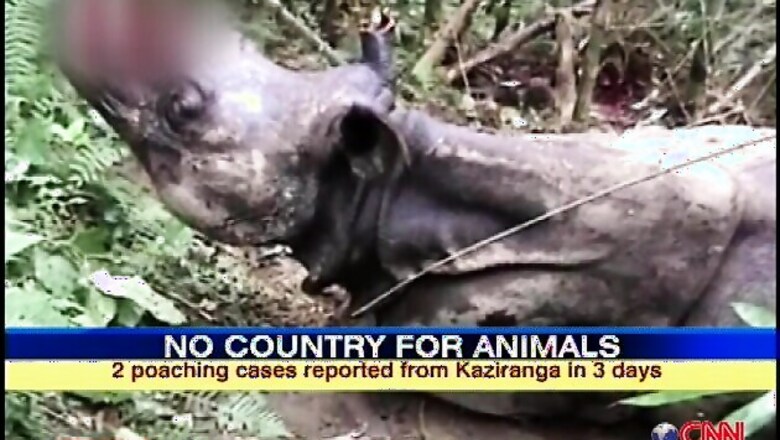 Assam: Two more rhinos killed in Kaziranga