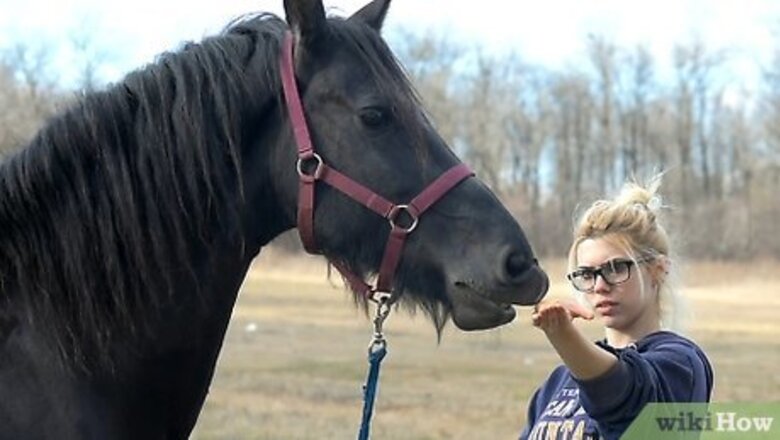 How to Teach a Horse to Kiss