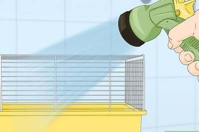 How to Clean a Rat's Cage