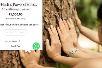 Rs 1500 for Hugging Trees? Bengaluru's Forest Bathing Experience Comes At 'Unbreathable' Price