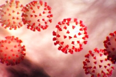 New Anti-Covid Drug That Reduces Dependence on Oxygen Will Be Out in a Month: DRDO Scientist