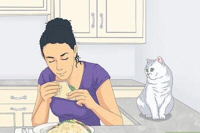 How to Eat Without a Cat Begging