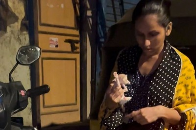 ‘Humans Are Deplorable’: Woman Rescues Kittens Wrapped In Plastic, Dumped In Garbage