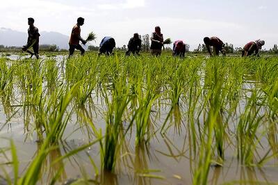 Mumbai: Eight-year-old girl donates her savings to drought-hit farmers