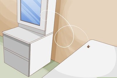 How to Kill a Fly