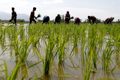Modi Govt Mulls Zero Interest on Timely Crop Loan Repayment as New Year Gift