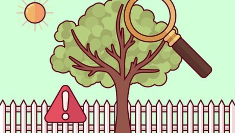 How to Do Basic Dormant Season Pruning