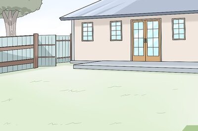 How and Where to Bury a Dead Bird