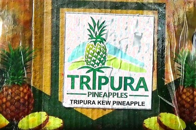 Tripura CM Biplab Deb Sends Pineapples to Bangladesh PM Sheikh Hasina as Return Gift