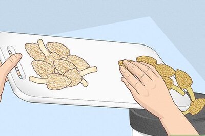 How to Clean and Store Morel Mushrooms