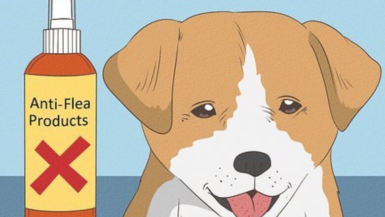 How to Kill Fleas on Young Puppies