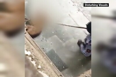 Video of Dog Being Beaten to Death Goes Viral, Security Guard Booked