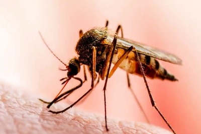 Most Common Monsoon Diseases and How To Prevent Them