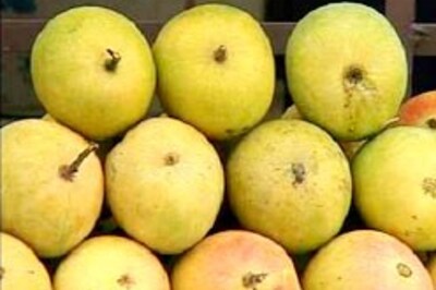 Mumbai says 'yeh dil mango more'!