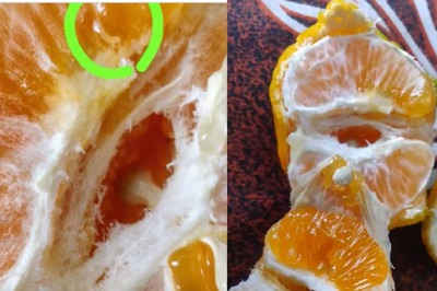 'What Kind Of Service..': Man Loses Cool After Finding Worm In Orange He Ordered From Zepto