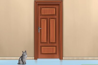 How to Cat Proof Your Computer