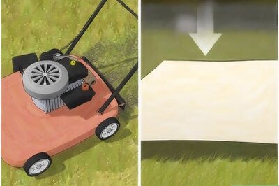 How to Replace an Old Lawn