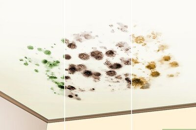 How to Clean Mold off of a Ceiling (Plus Prevention Tips)