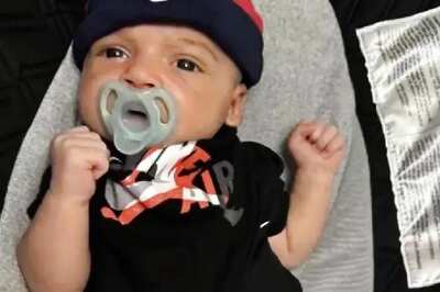 Pet Dog Mauls Six-Week-Old Sleeping Baby To Death In US