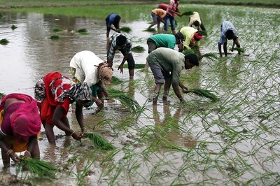 'The Lockdown Killed My Father': Farmer Suicides Add to India's Coronavirus Misery