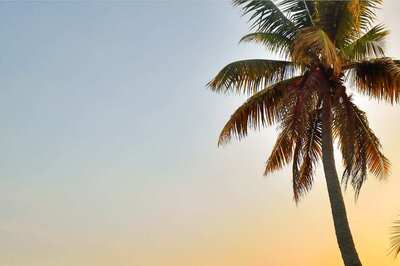 15 Long Weekends in 2023: Check Dates to Plan your Leaves and Holidays