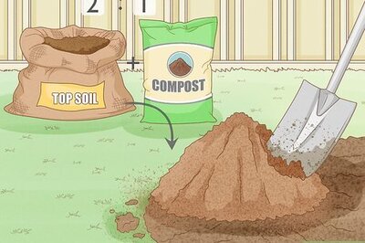 The Best Soil for Raised Garden Beds: A Complete Guide