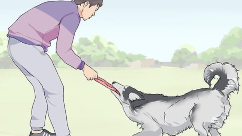 How to Bond with a Needy Dog