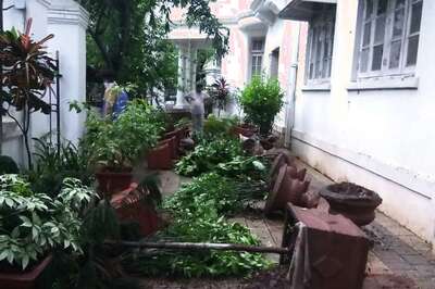 Attack on BR Ambedkar's House in Mumbai: One Arrested, Search on for Another Accused