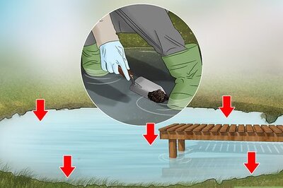 How to Lime a Pond