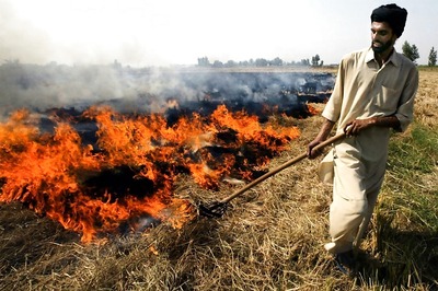 Niti Aayog Pitches for Financial Support to Farmers Not Burning Crop Residues