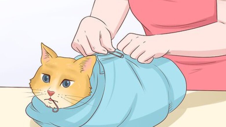 How to Remove a Hook from a Cat's Mouth
