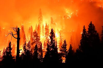 Australians Are 3 Times More Worried About Climate Change Than Covid-19. A Mental Health Crisis is Looming