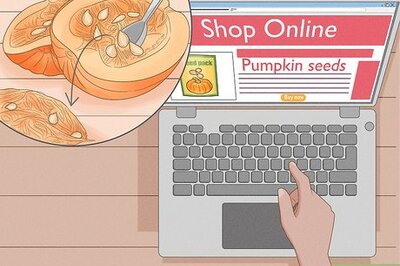 How to Grow Pumpkins Indoors