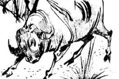 Buffalo gets Princely treatment