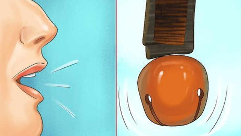 How to Escape from a Bear