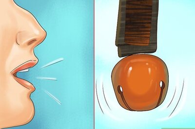 How to Escape from a Bear