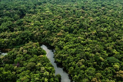 House Talk | Does Forest Conservation Amendment Bill Encroach on Gram Sabha, Tribal Rights?