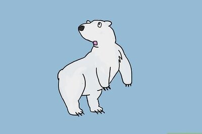 How to Draw a Polar Bear