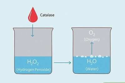What Does It Mean if Peroxide Bubbles? Is It a Sign of Infection?