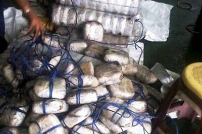 Exclusive | Pak Plans Narco-terror Push in Kashmir, Major Misinformation Drive against Modi Govt: Sources