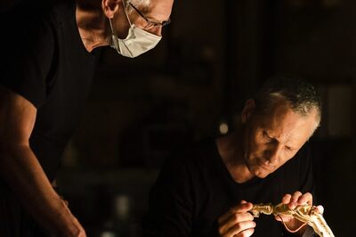 Cannes Film Festival Shocks and Rattles Us with Titles from David Cronenberg and Ruben Ostlund