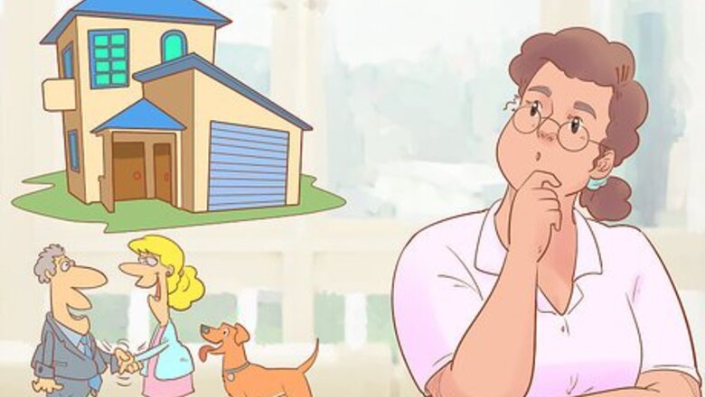 How to Choose a Dog