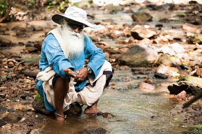 Soil: The Incredible Intelligence Beneath Our Feet