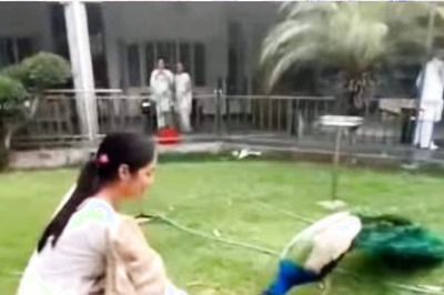 Shehnaaz Gill Feeds a Peacock With Her Hands, Fans Say 'Spreading Happiness Everywhere'