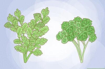 How to Grow Parsley