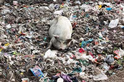 Civic Body Misses Date to Make Bengaluru Garbage Free, Blames People For Sleeping Till Late