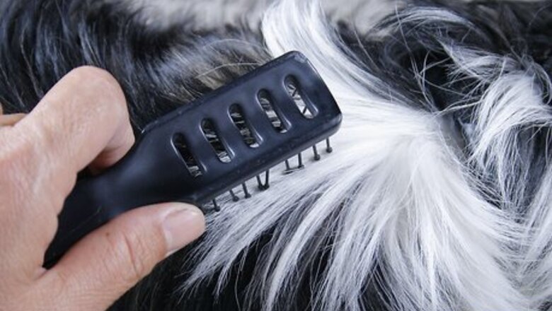 How to Maintain a Pet's Hair